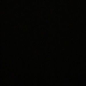 Meet your Posher, Sierra